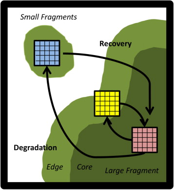 Fragmentation