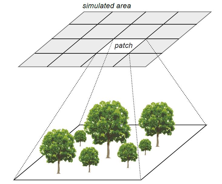 FORMIND Patch Structure