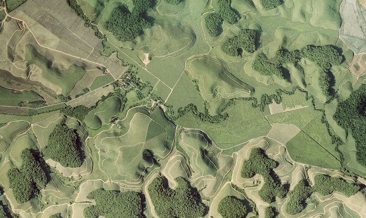 The aerial photo shows forest fragments of the Brazilian Atlantic rainforest in Northeastern Brazil (Mata Atlântica), surrounded by sugar cane plantations. Photo: Mateus Dantas de Paula