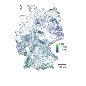 Fischer et al 2019, Biomass